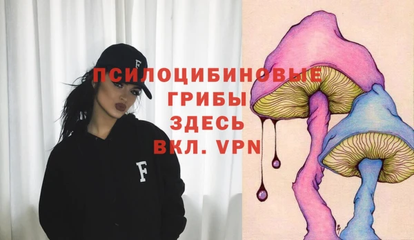 бутират Баксан