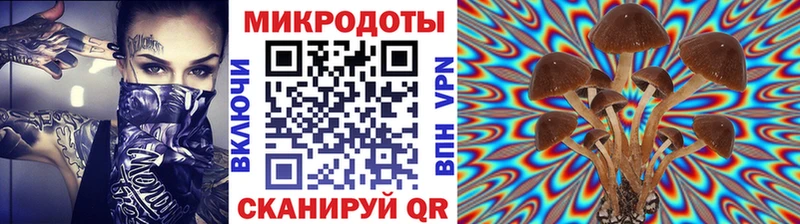 Галлюциногенные грибы Psilocybine cubensis  ОМГ ОМГ   Кондрово 
