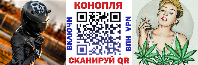 где найти   Кондрово  Бошки Шишки SATIVA & INDICA 